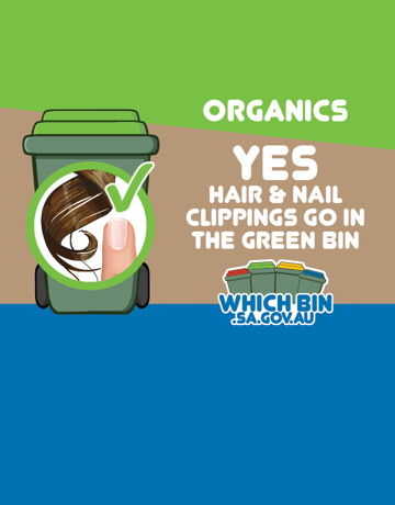 Nail clippings and hair are good to go in the green bin.